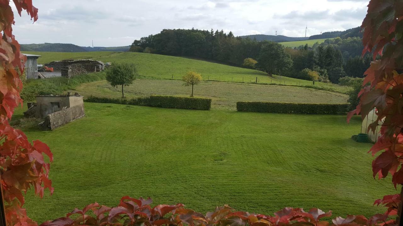 Ferienhaus Gisela Villa Hellenthal Kültér fotó