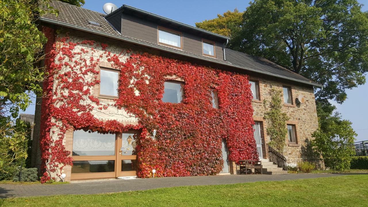 Ferienhaus Gisela Villa Hellenthal Kültér fotó