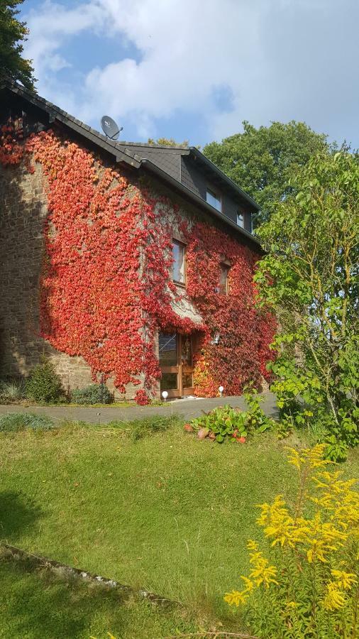 Ferienhaus Gisela Villa Hellenthal Kültér fotó